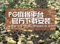 种植基地八(图1)
