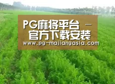 种植基地四