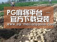 种植基地八