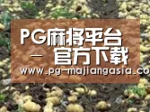种植基地七