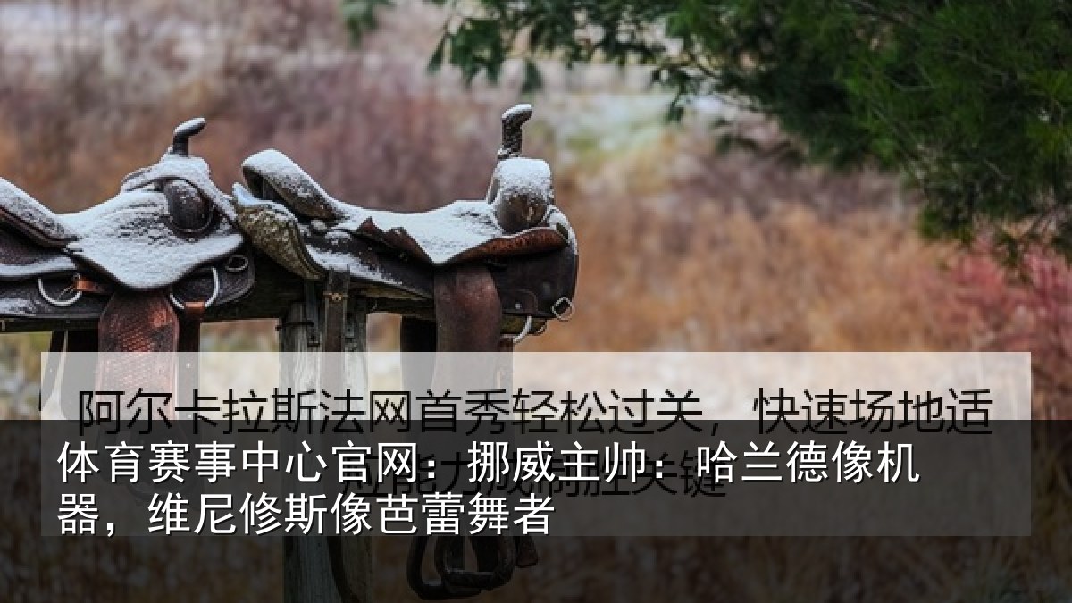 体育赛事中心官网：挪威主帅：哈兰德像机器，维尼修斯像芭蕾舞者